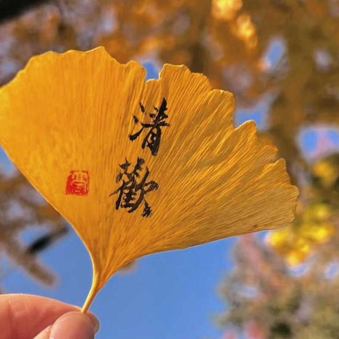 姣芝