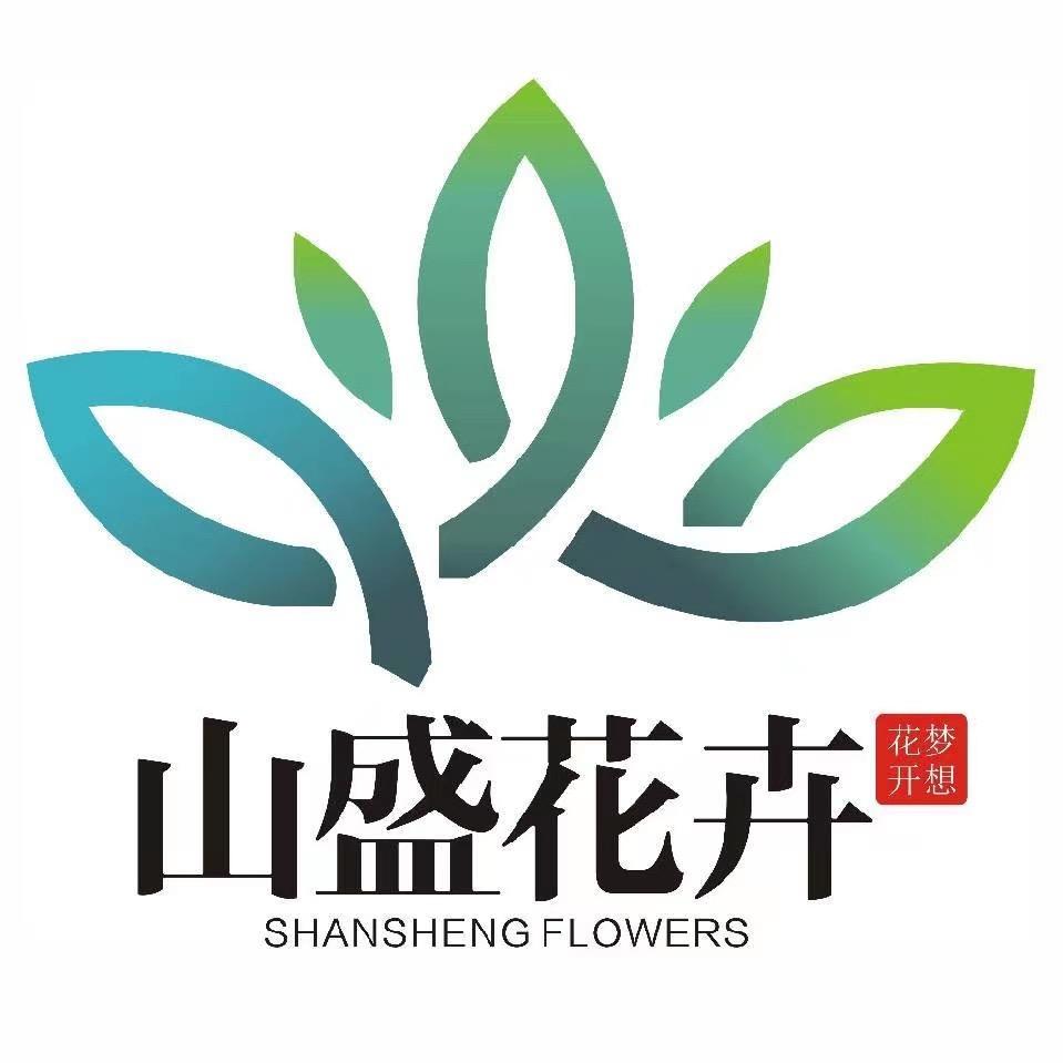 山盛多肉花园