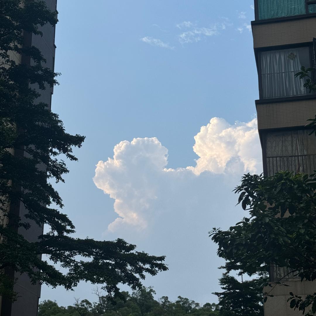 空白见