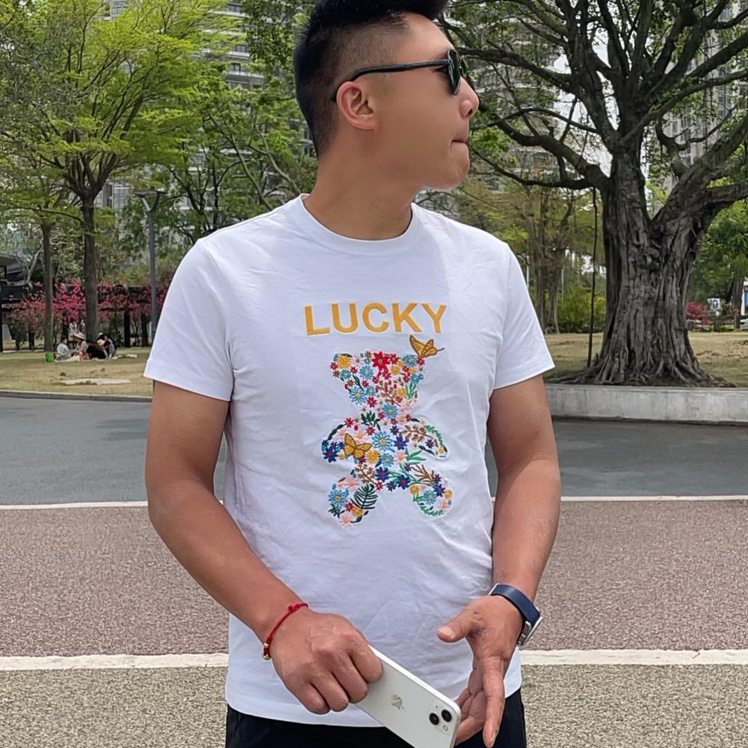 金丝楠木，绿化苗木