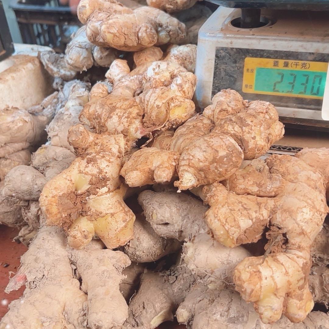 云南高山小黄姜