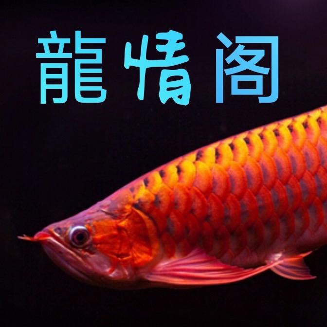 龍情阁渔业有限公司