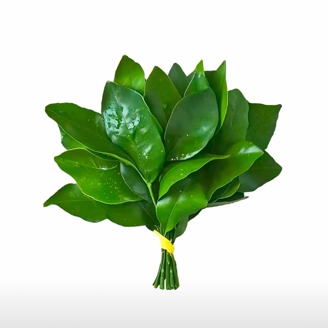 心比天高