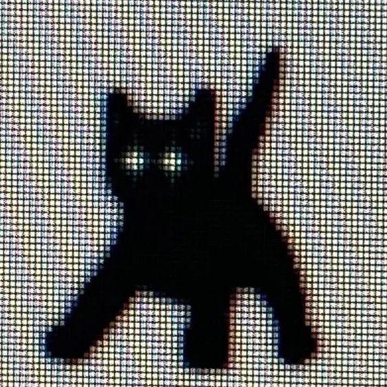 ROUWAN肉丸