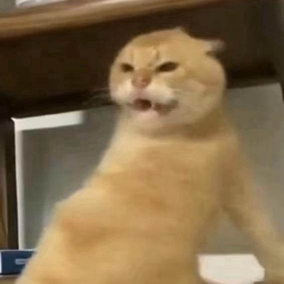 练