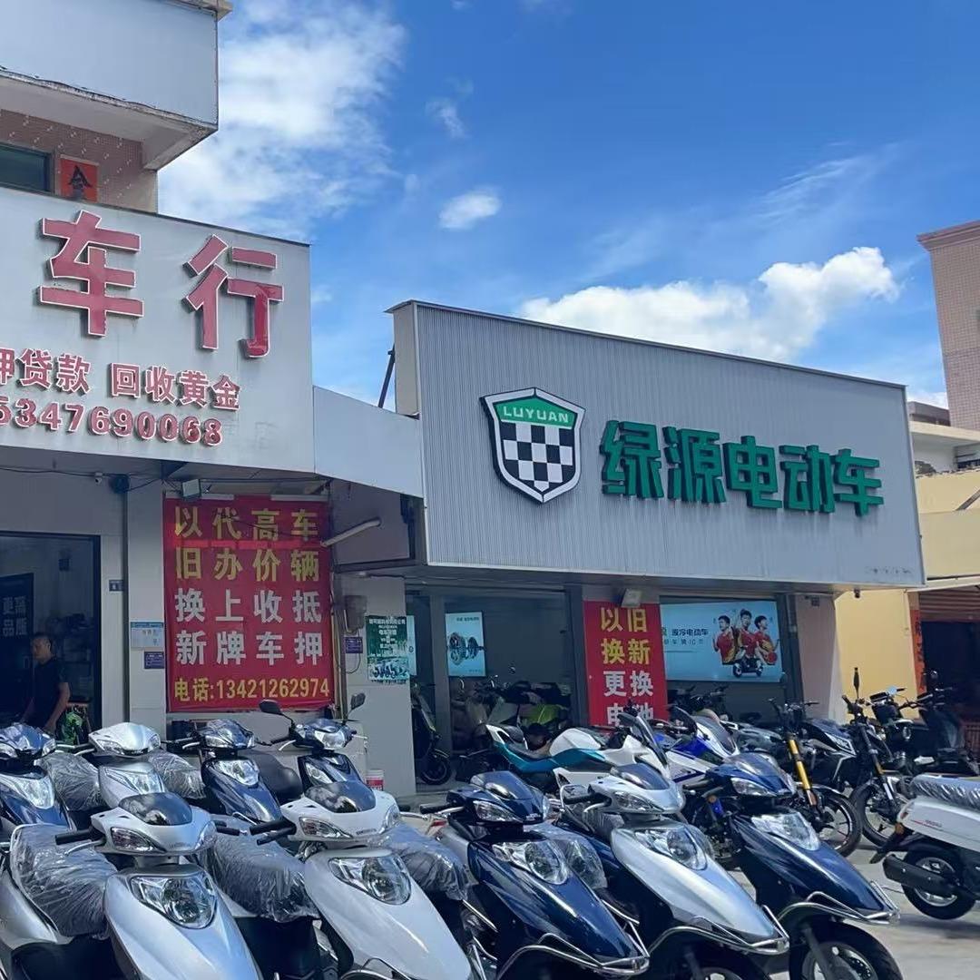 绿源电动车VS飞越摩托车