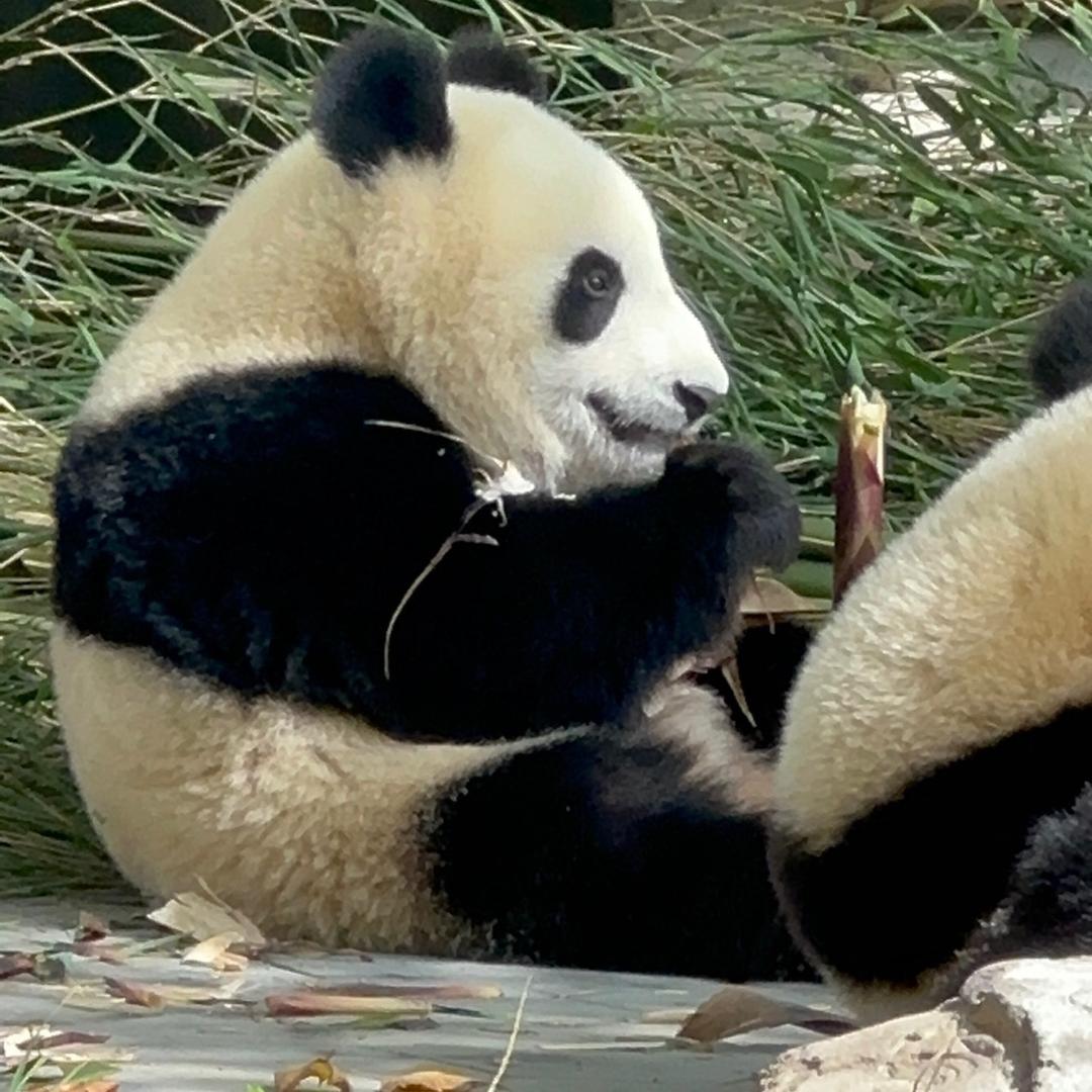 泡泡之家手作工坊