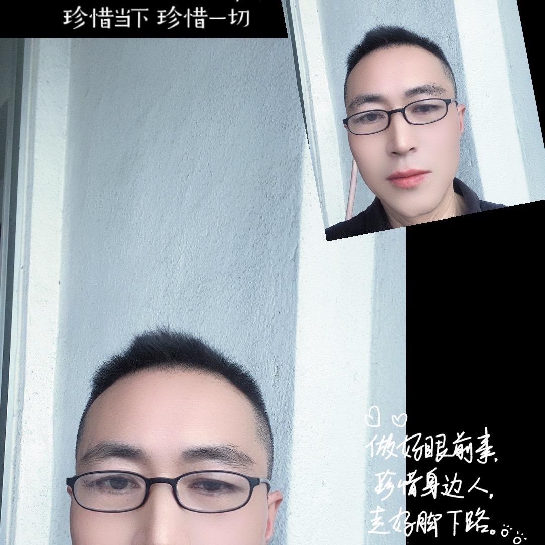 鹰哥头像