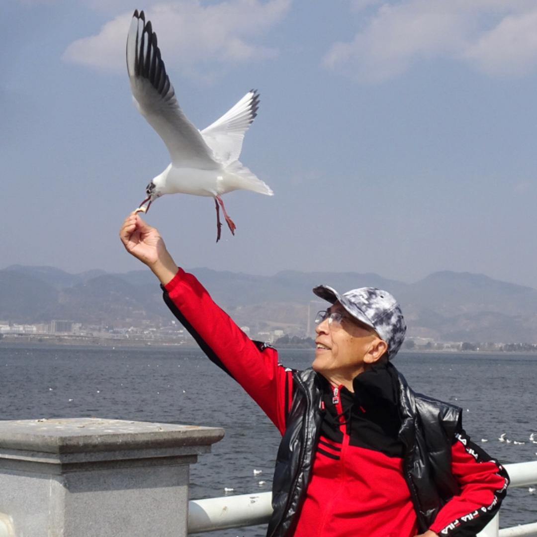 南京武子