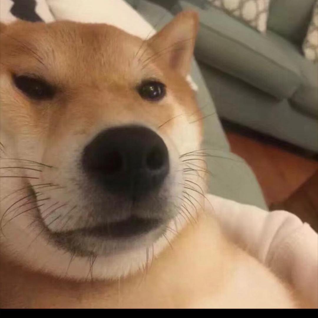 修勾🐶爱穿搭