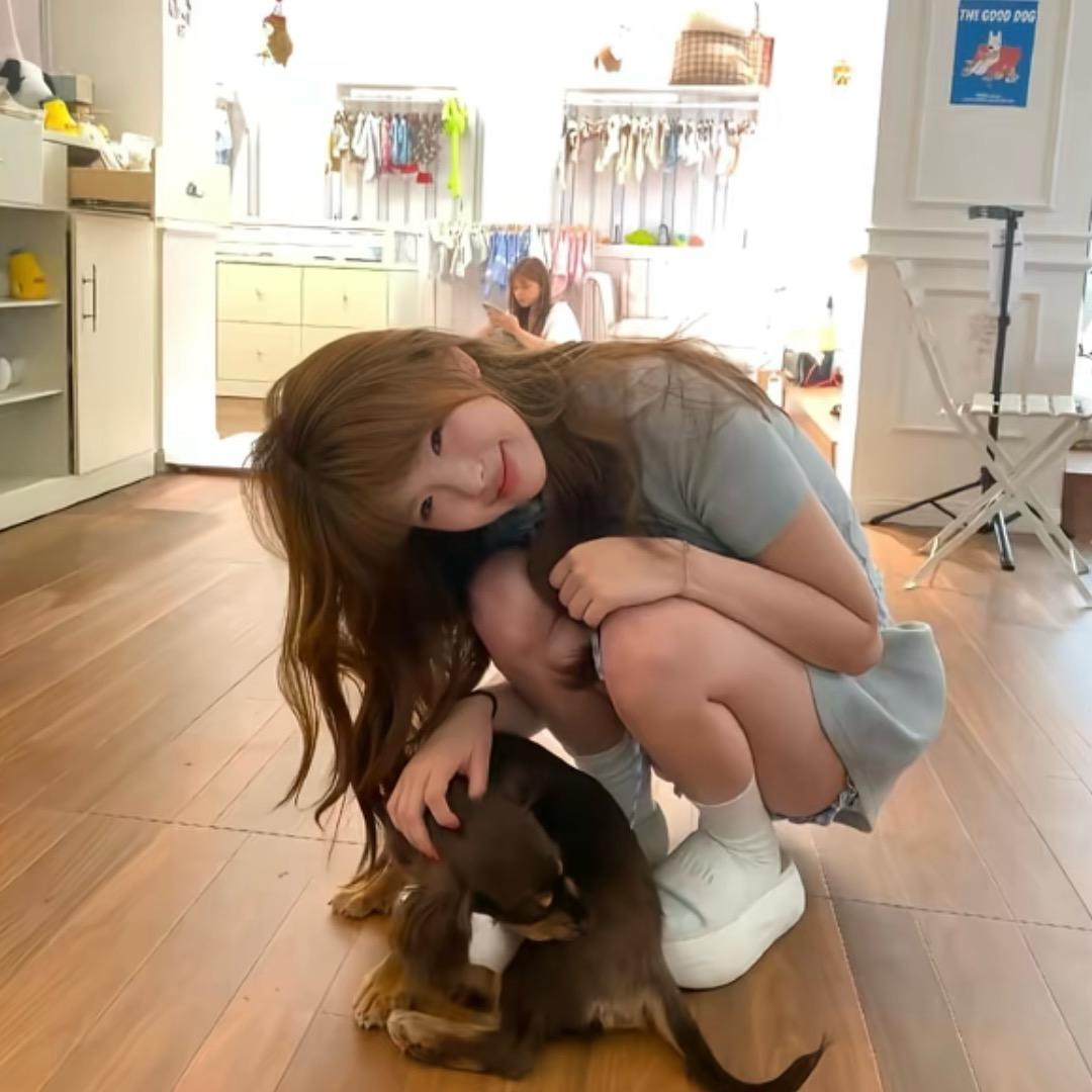 小诺