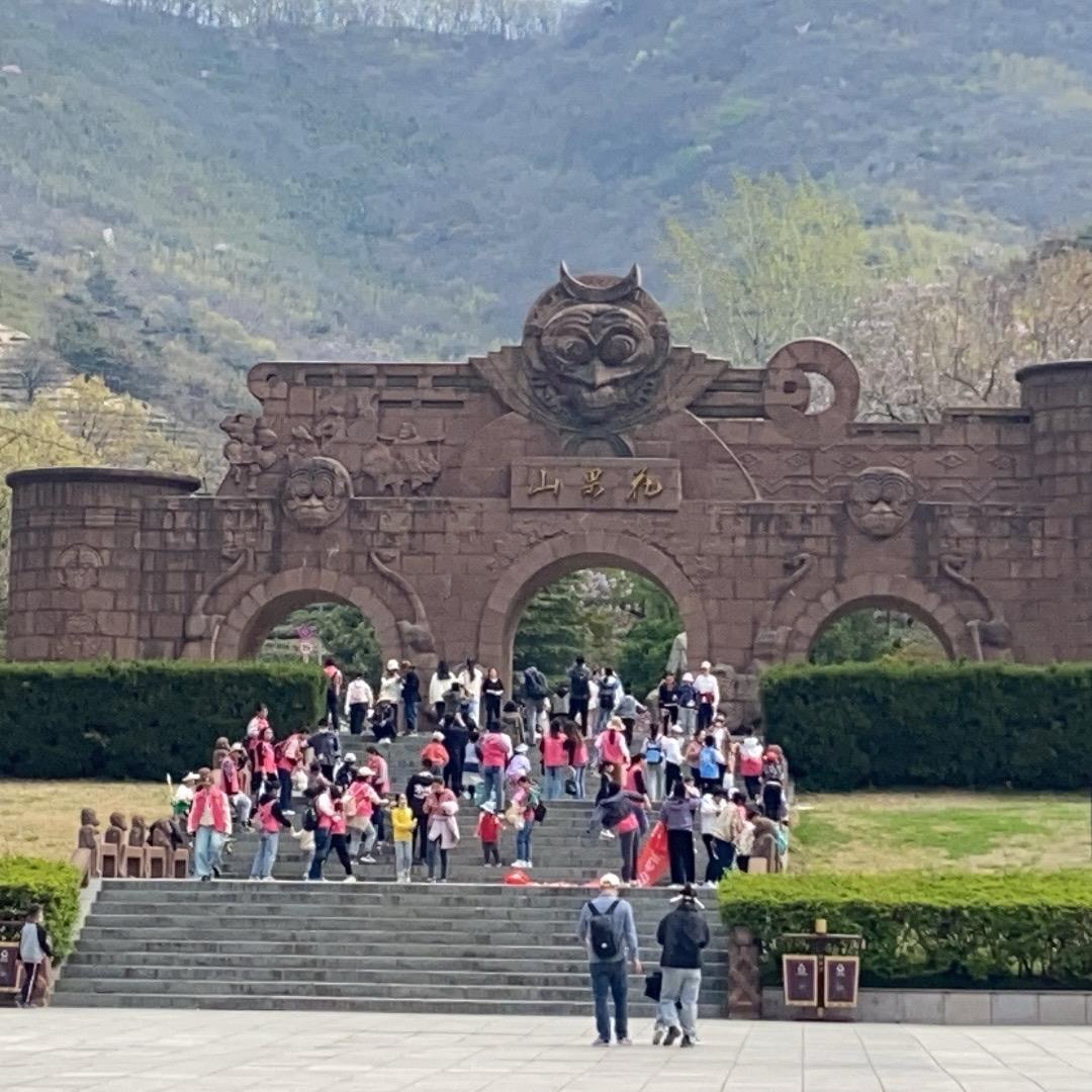逆风飞翔