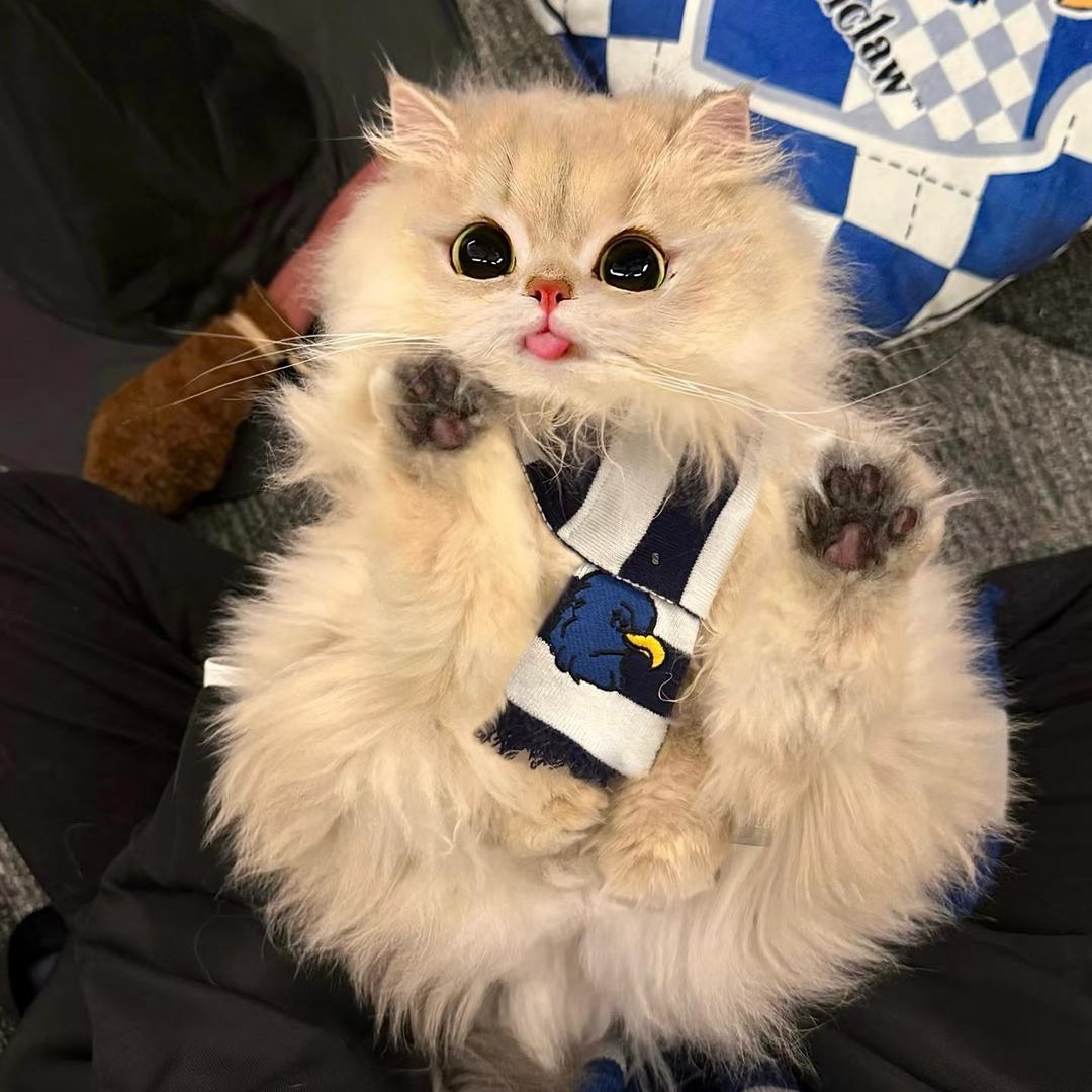 允儿