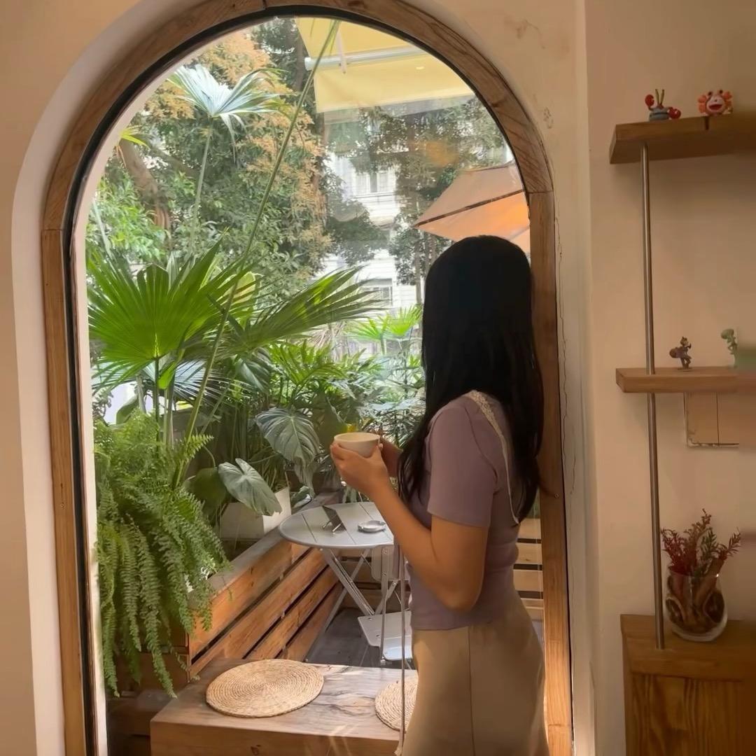 柏淞