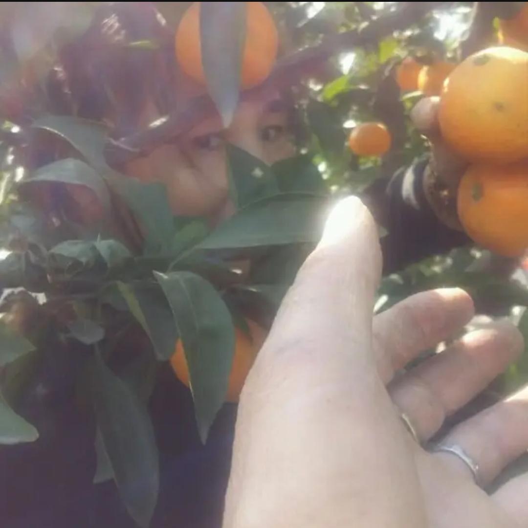 ღ᭄ꦿ꯭꯭🌷沉默🌺ღ᭄