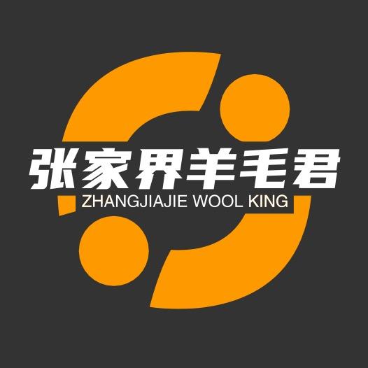 张家界羊毛君-大熊🐻〔思创〕
