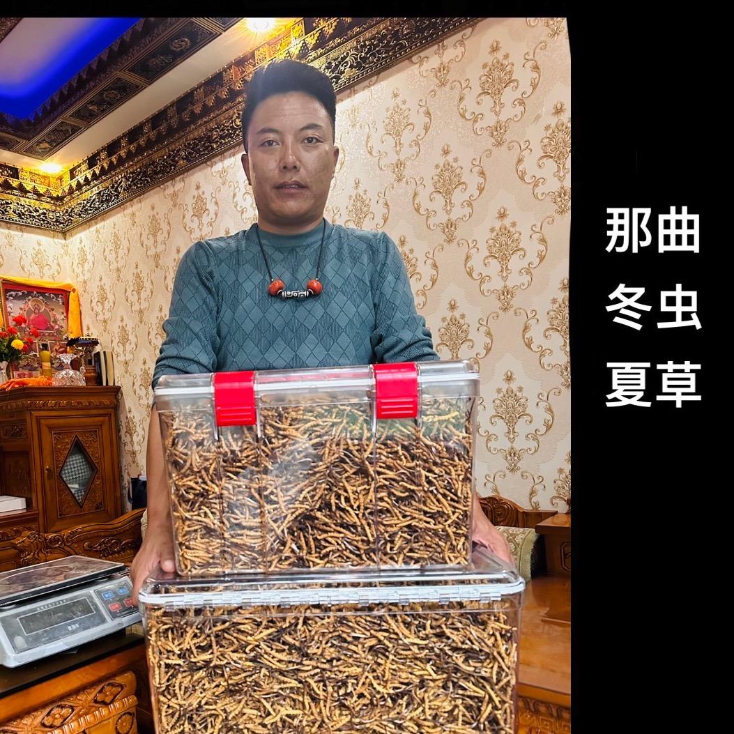 那曲油恰虫草 索朗