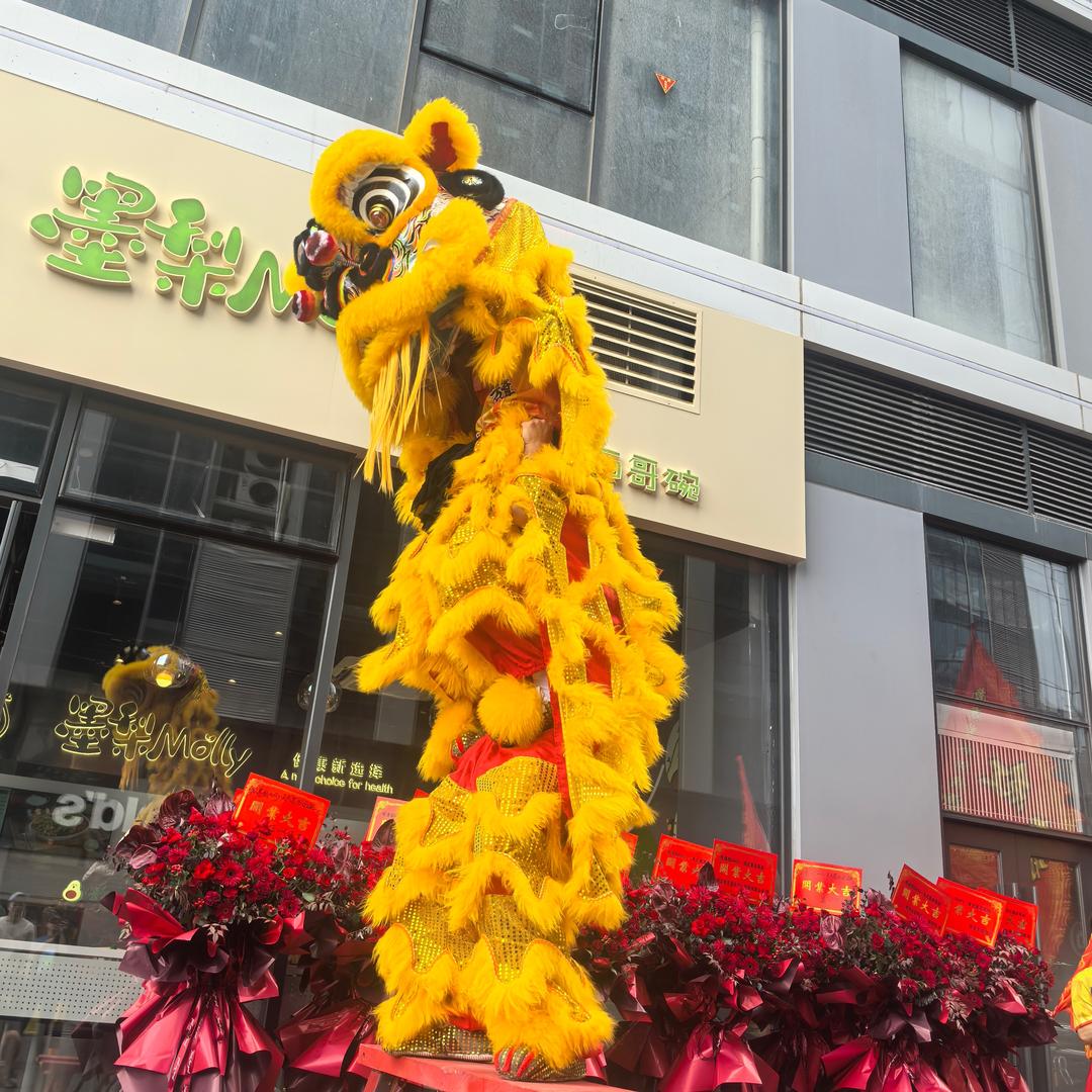 佛山里水红旗酒楼醒狮队——Y