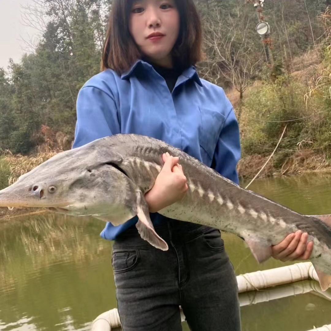 静大爷爱钓鱼