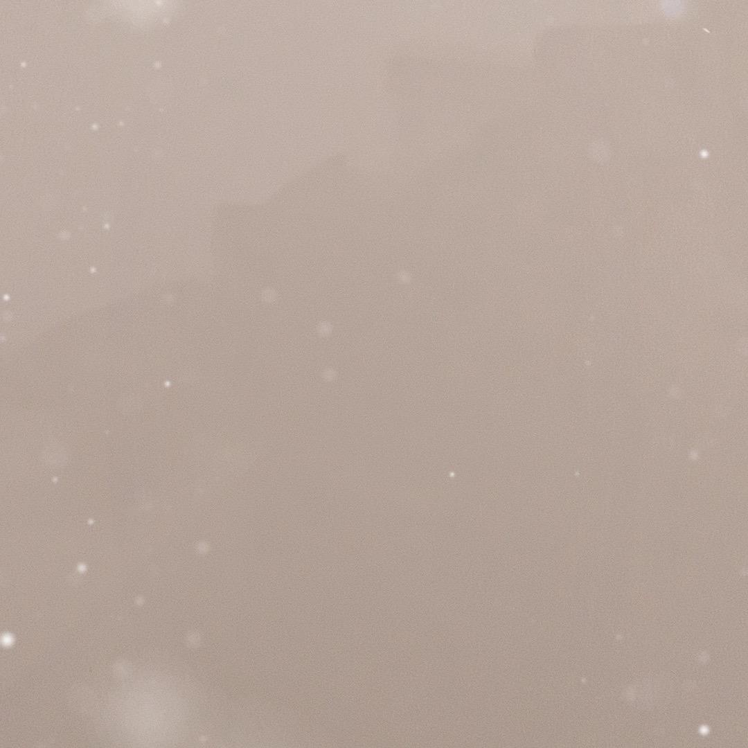 小伙伴