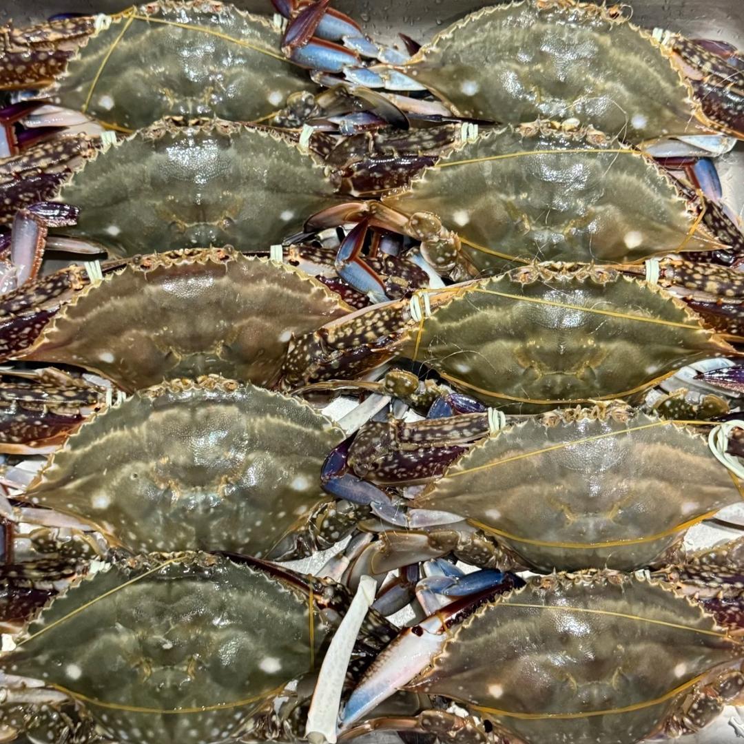 文安码头海鲜小时达