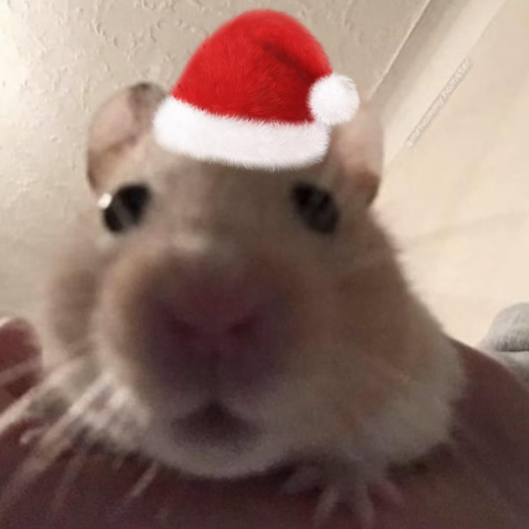 绝望的农村人66