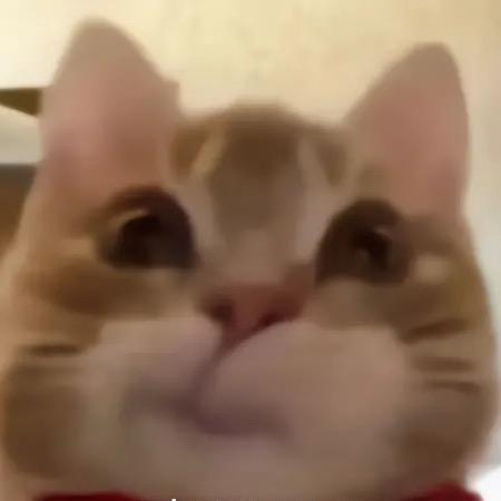 好运宝贝