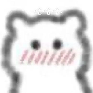 小z.