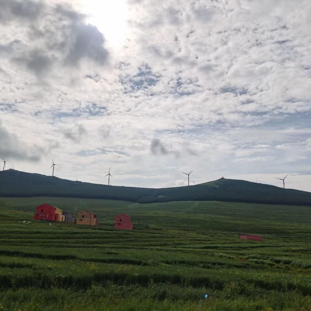 悠悠
