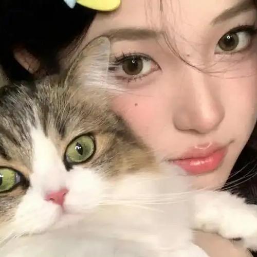 乐乐带你吃喝玩乐