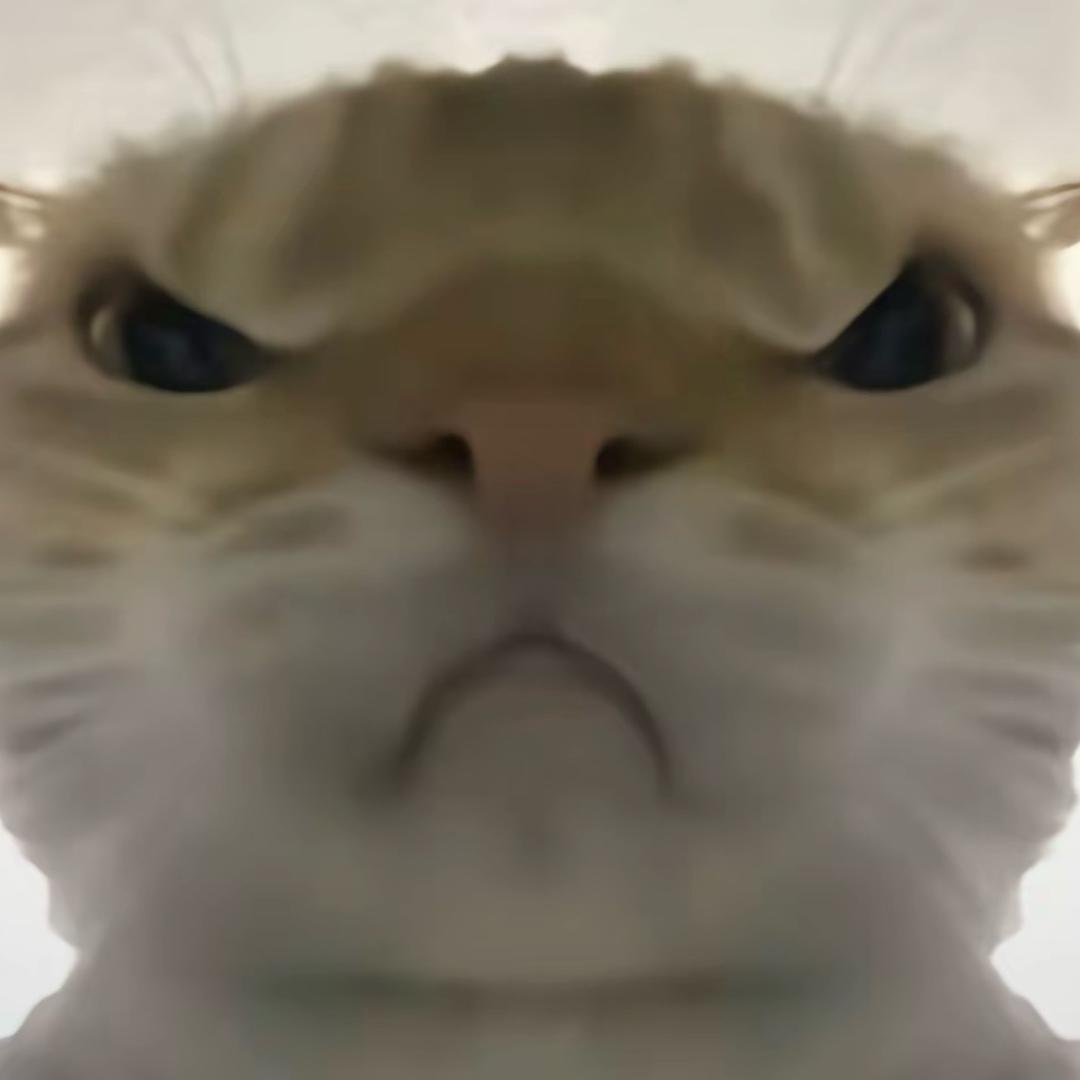 淡意