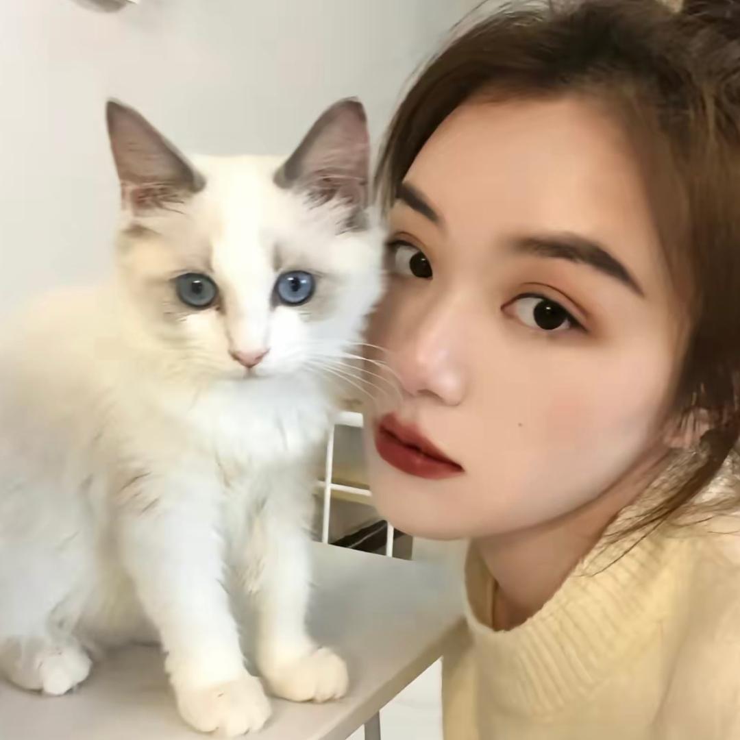 小马不马虎