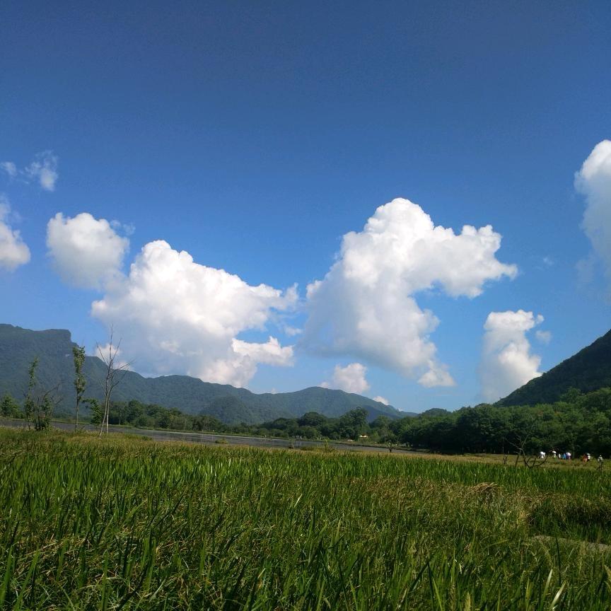 轻松戒