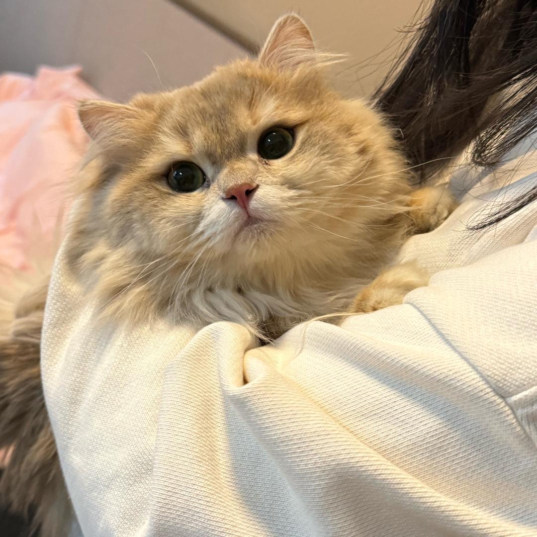 不会打转向