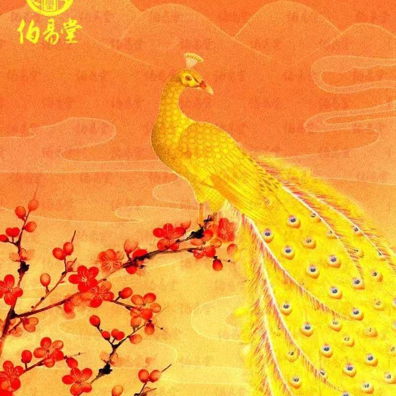 海贝珠专场