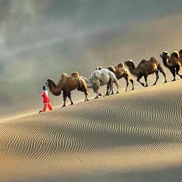 每日娱聊