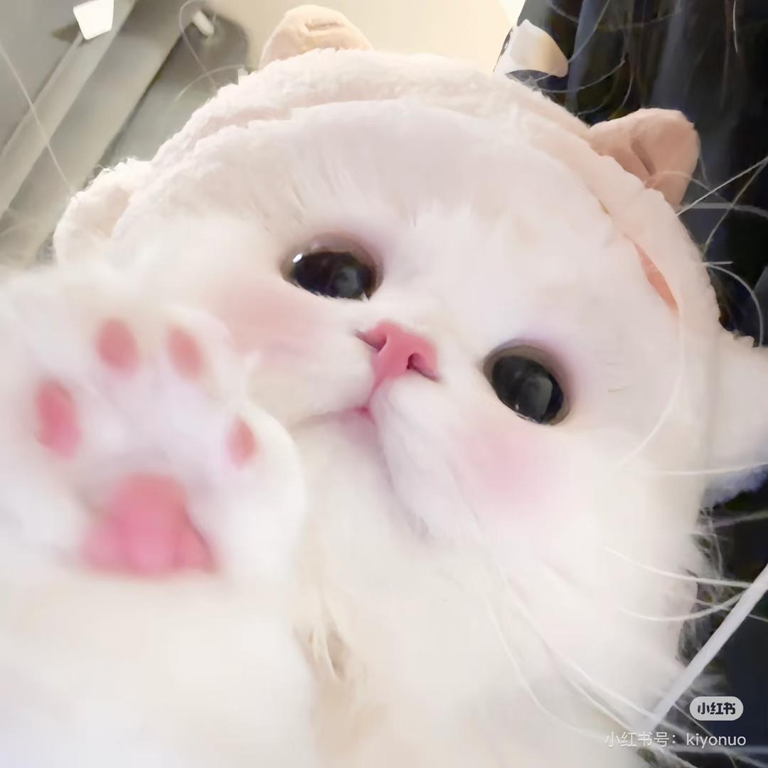 小H