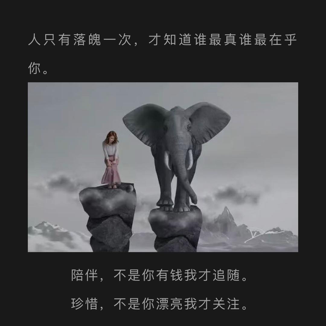 每天两件事