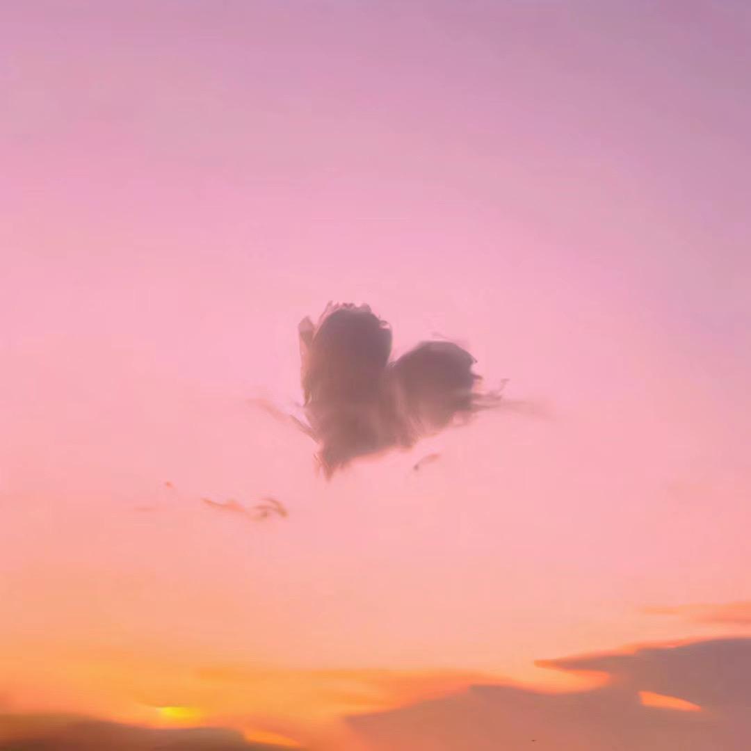 叶叶子🍃