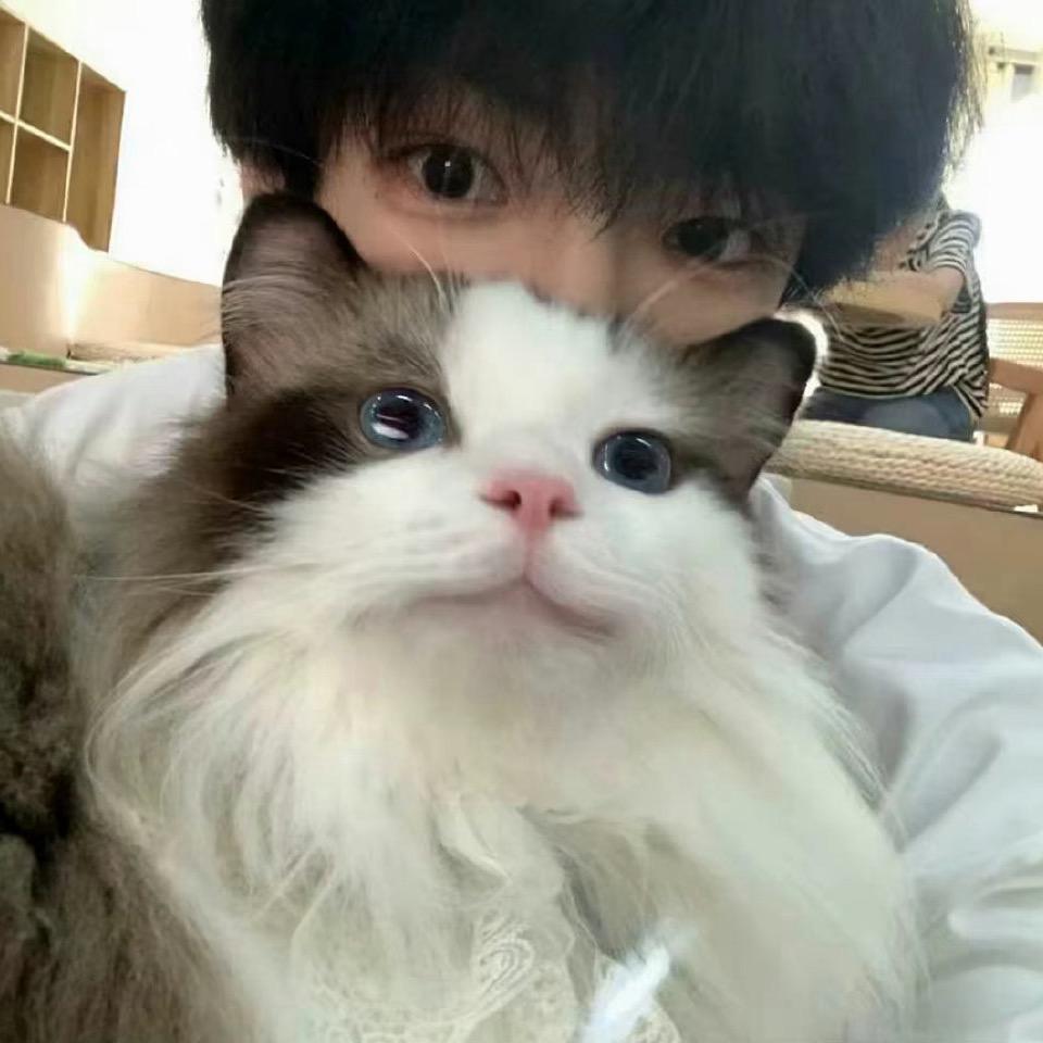 上好嘉