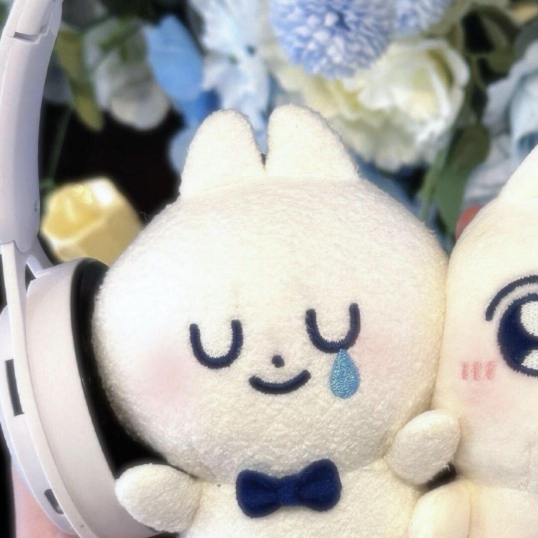 落日之下的黄瓜