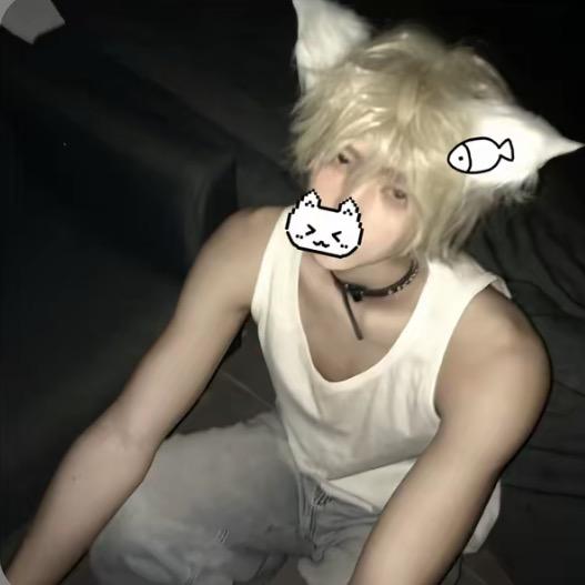 喵小王爱吃鱼🐟