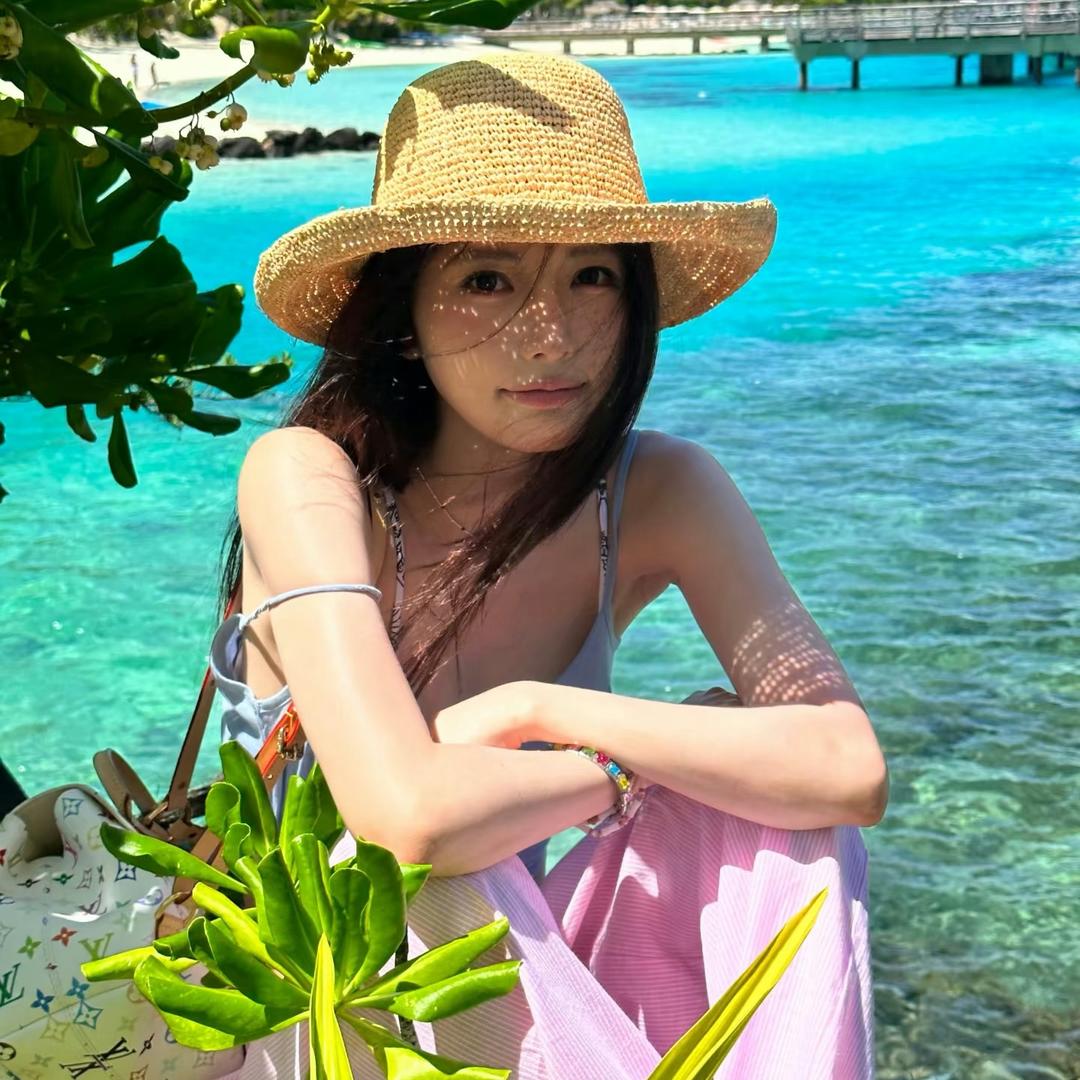 一只肥肥小豚鼠