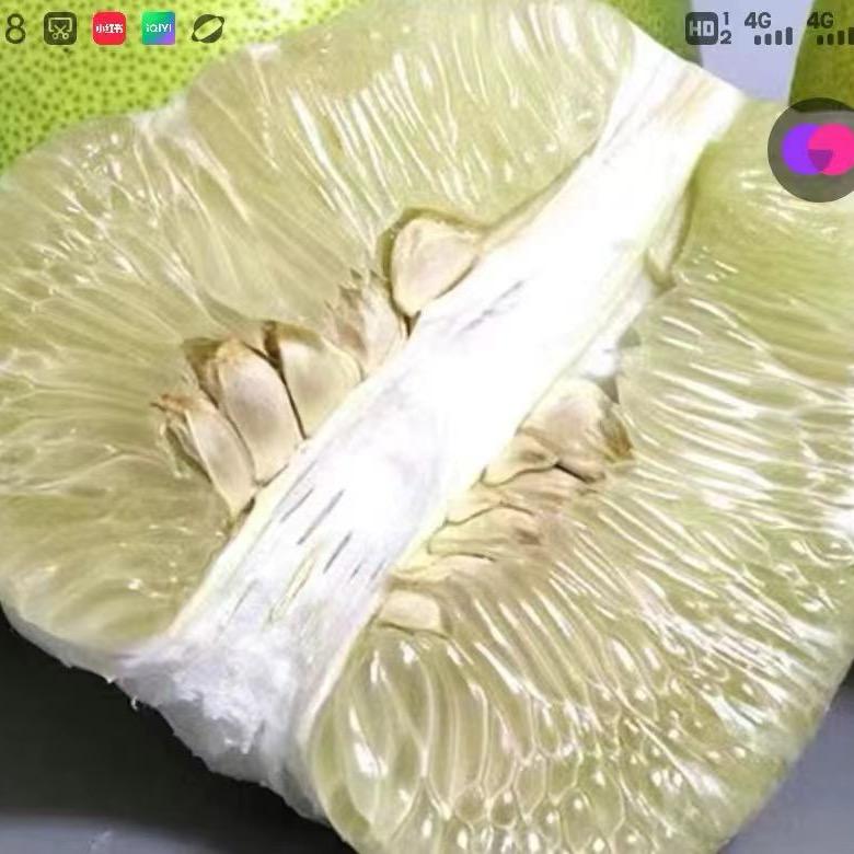 铜仁房产中介柚子哥