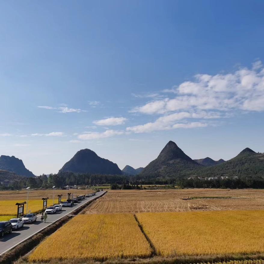 飘舞的思絮