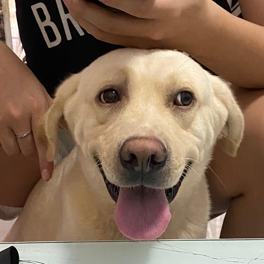 JIANGJIANG 7号🇨🇳