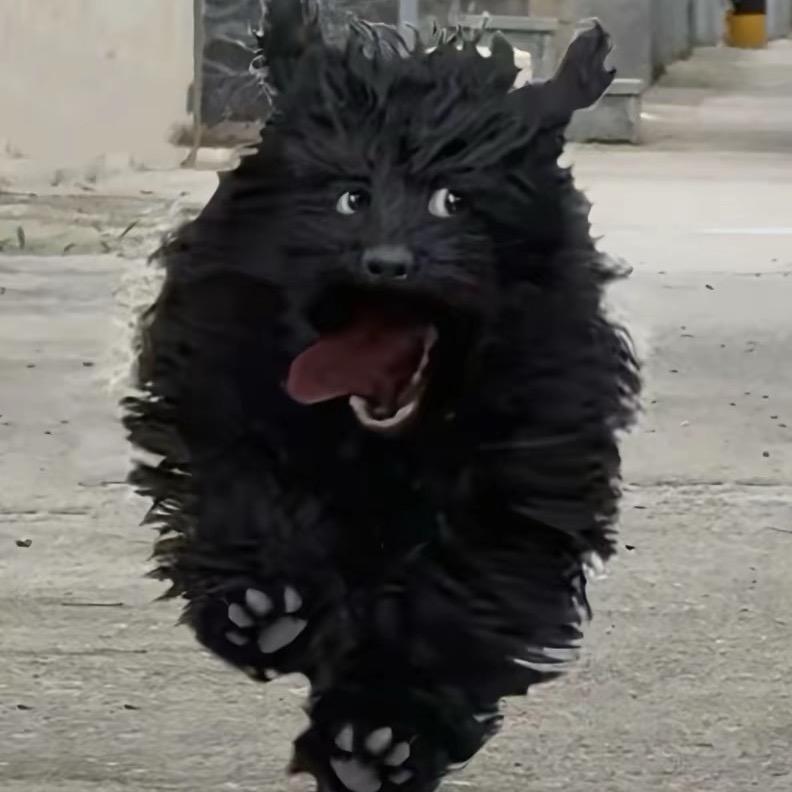 故里i