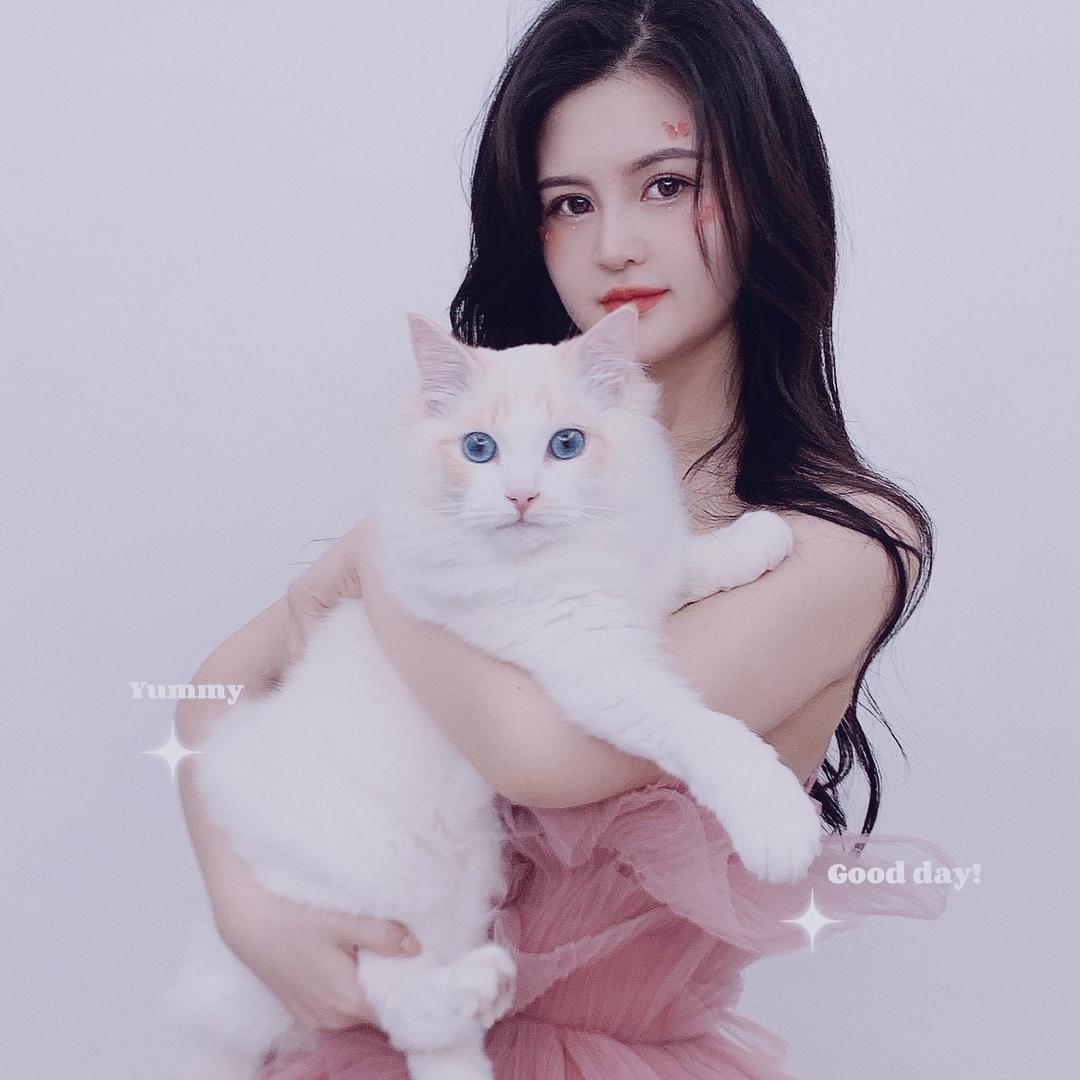 一只幸运猫🐱