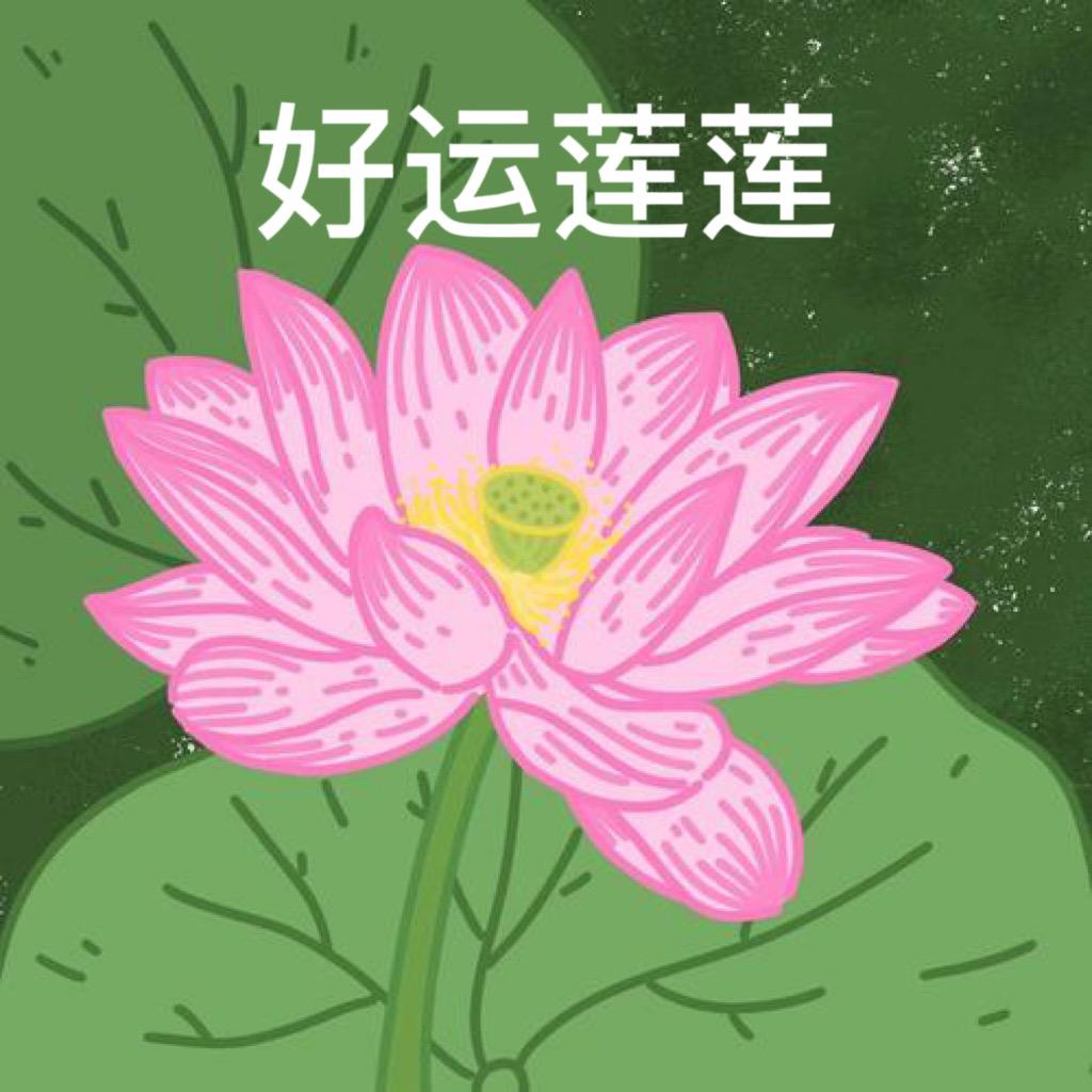 没鲤鱼爱玩小游戏