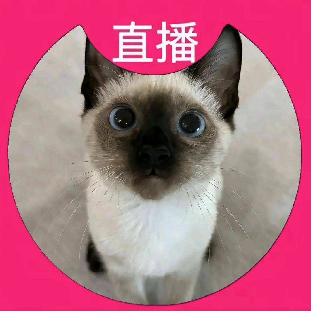 呆小韩